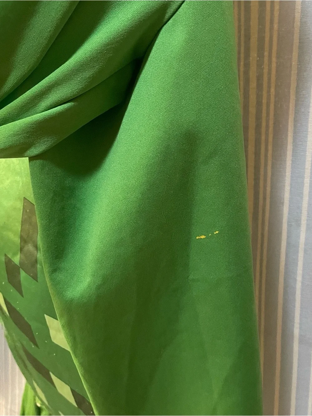 Minecraft green jumpsuit